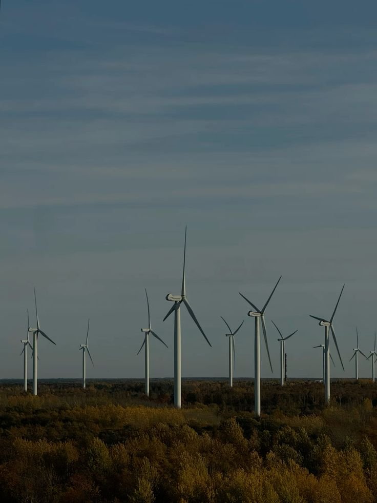 Power plant and renewable energy